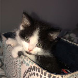 Meet your Posher, Victoria